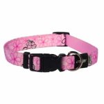 Rogz Pupz Yoyo Medium 16MM Yip Yap Yo Puppy Collar Pink Roxi Waggs Pet Shop