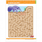 Big Mazes Activity Book