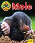 Wildlife Watchers: Mole 2017 Paperback
