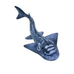 Shark Ray By