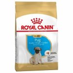 Royal Canin Bhn Pug Puppy 1.5KG