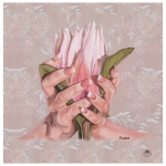 Printed Blanket Protea Hands Lrg