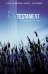 Niv Outreach New Testament Large Print Paperback Large Type Edition