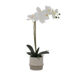 White Real Touch Orchid In Cream Pot