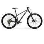 Big Trail 600 2025 - XL