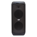 Gida 10"DOUBLE Portable Battery Speaker FTS-2104