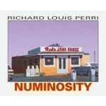 Numinosity - Photographs Paintings & Text Hardcover