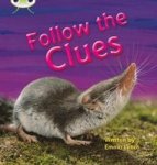 Phonics Bug Non-fiction Set 18 Follow The Clues Paperback