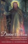 Divine Election Hardcover
