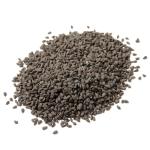 Black Cumin Seed Nigella Sativa - Bulk - 500G