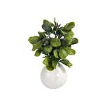 Greenery 26CM In Ceramic Pot 10X10CM - Lamb Ears