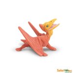 Dinosaur Pteranodon Baby