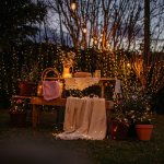 The Garden Glowup Bundle