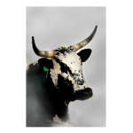 NGUNI3 Art Print - A3