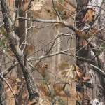 Pistol Holster For Glock 19- Fde in Tree Camo