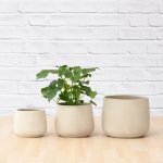 Helia Planter - Concrete - 26CM