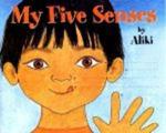 My Five Senses Paperback, Revised 1st big book ed