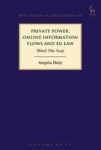 Private Power Online Information Flows And Eu Law - Mind The Gap Hardcover