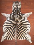 Aa Grade Zebra Hide 032 L