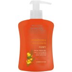 Clicks Skincare Collection Rooibos & Anti-oxidants Facial Wash Gel 300ML