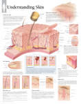 Understanding Skin 2500