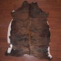 A Grade Cow Hide 2090 Tricolour L - Large / Tricolour / Panelled