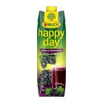 Happy Day Schwarze Johannisbeere Black Currant Juice - 1L