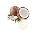 Coconut Fractionated Carrier Oil Organic Mct - 100 Ml - 500 Ml