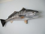 White Sea Bass 125CM Wsb