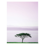 Suesscape 2 Art Print - A1