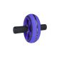 Fitness Ab Double Roller Wheel