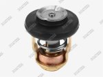 Yamaha Thermostat F4-70HP Amp