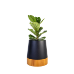 Conica Planter Iroko Timber Base - Textured Black Large