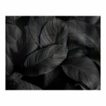 Decorative Glass Wall Tile 898 X 700 X 6MM Feathers