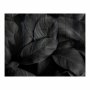Decorative Glass Wall Tile 898 X 700 X 6MM Feathers
