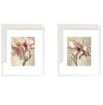 Pink Magnolia Framed Print 675 X 770 Set Of 2