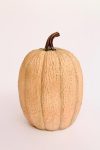 Brown Large Squash – 36X22CM