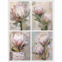 Tear Resistant Deco Print A6 Collage Protea