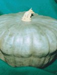 Pumpkin Queensland Blue Seed - 10 G Raw Seed