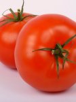 Tomato Moneymaker Seed - 20 G Raw Seed