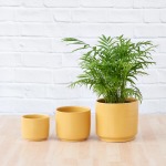 Migo Planter - Mustard Yellow - 16CM