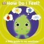How Do I Feel? - A Little Guide To My Emotions   Board Book