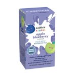 Apple Carmi N Kiddies Cold Brew Tea: Blueberry