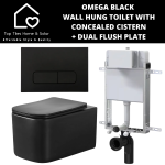 Omega. Omega Black Wall Hung Toilet With Riifo Concealed Cistern & Square Dual Flush Plate