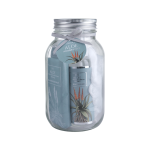 Botanics Nature's Gift Jar - Protea - Aloe