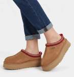 Tazz 11 Slipper - Chestnut - 9