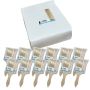 Rcm Paint Brush 75MM 12 Pack