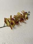 Orchid 100CM Yellow