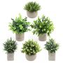 MINI Potted Artificial Decorative Table Plants For Home & Office - 6 Piece