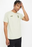 Puma A.c. Milan Casuals Tee - Spring Moss & Dark Green Moss